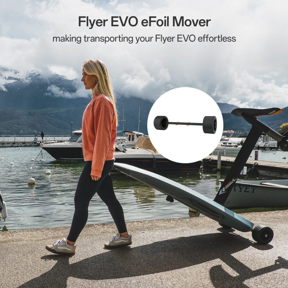 Waydoo Flyer EVO PRO / PRO PLUS