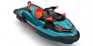 SEA-DOO WAKEPRO 300 (2025)