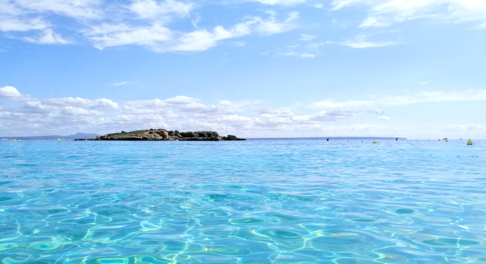 Jet Ski Routes from Portals Nous